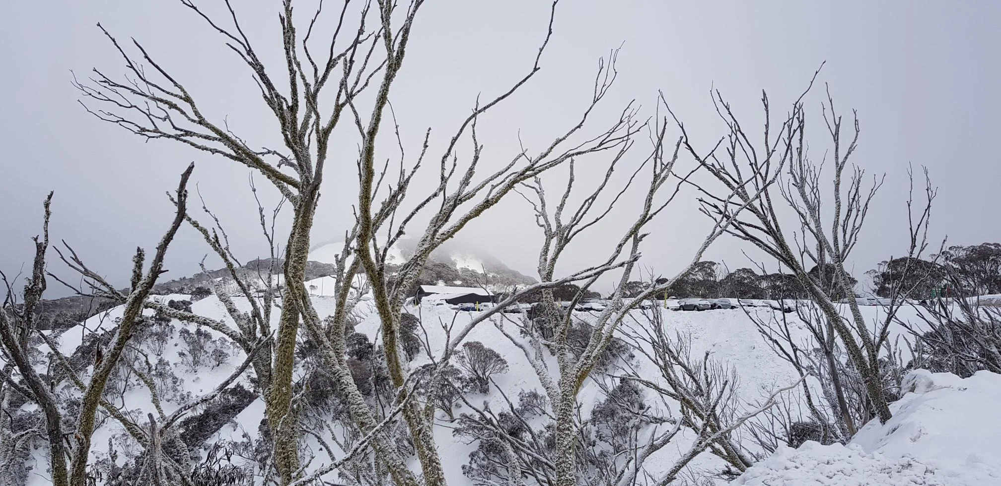 Mt Hotham to Dinner Plain via Brabralung Trail - Hiking on the trail
