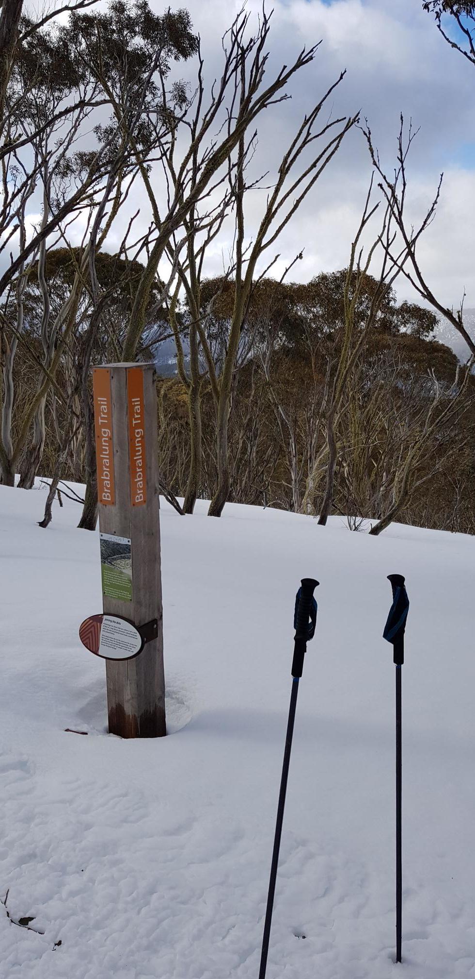 Brabralung Trail Mt Hotham in the snow.jpg