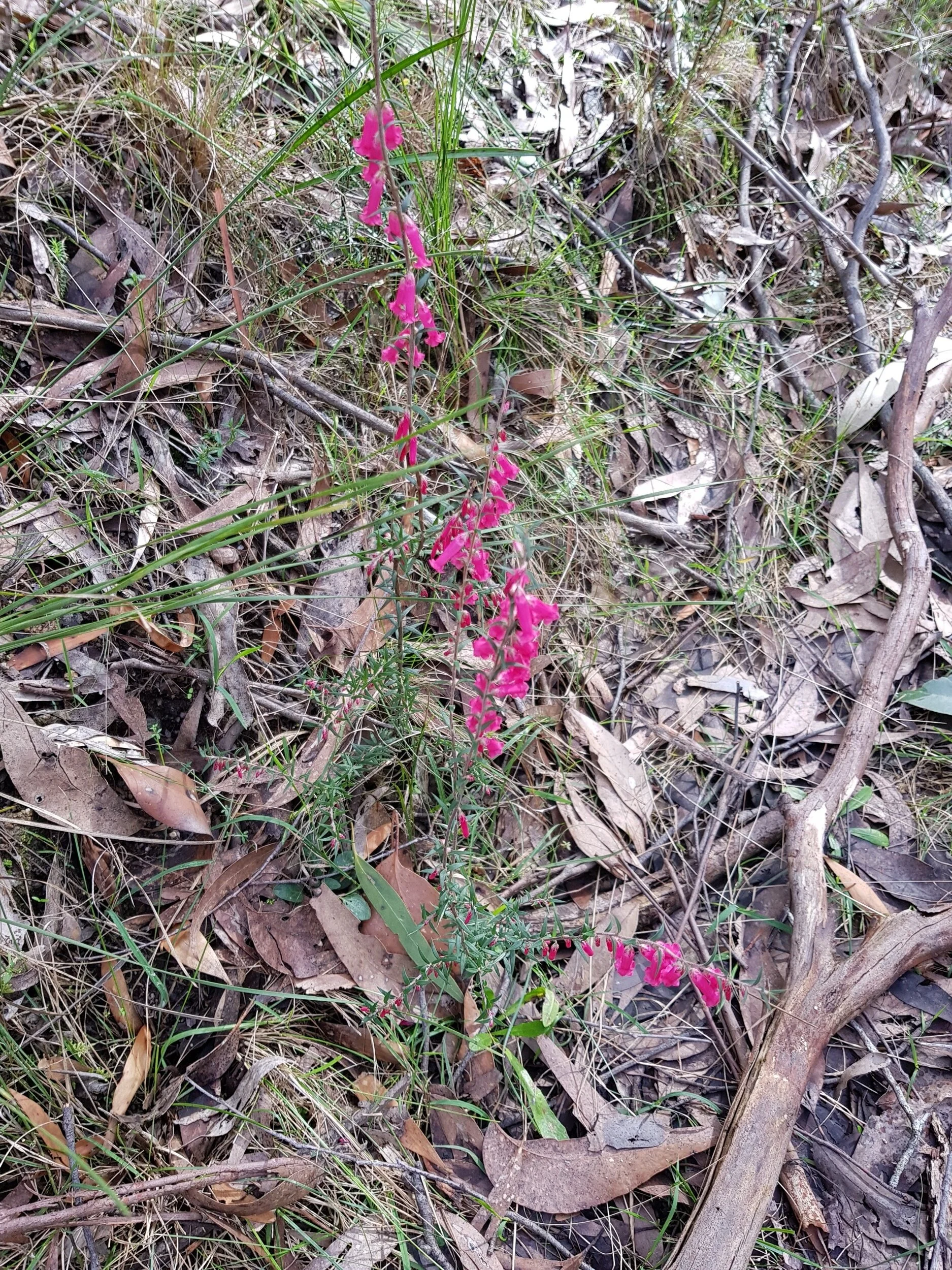 processed_20180805_111027 (1).jpg