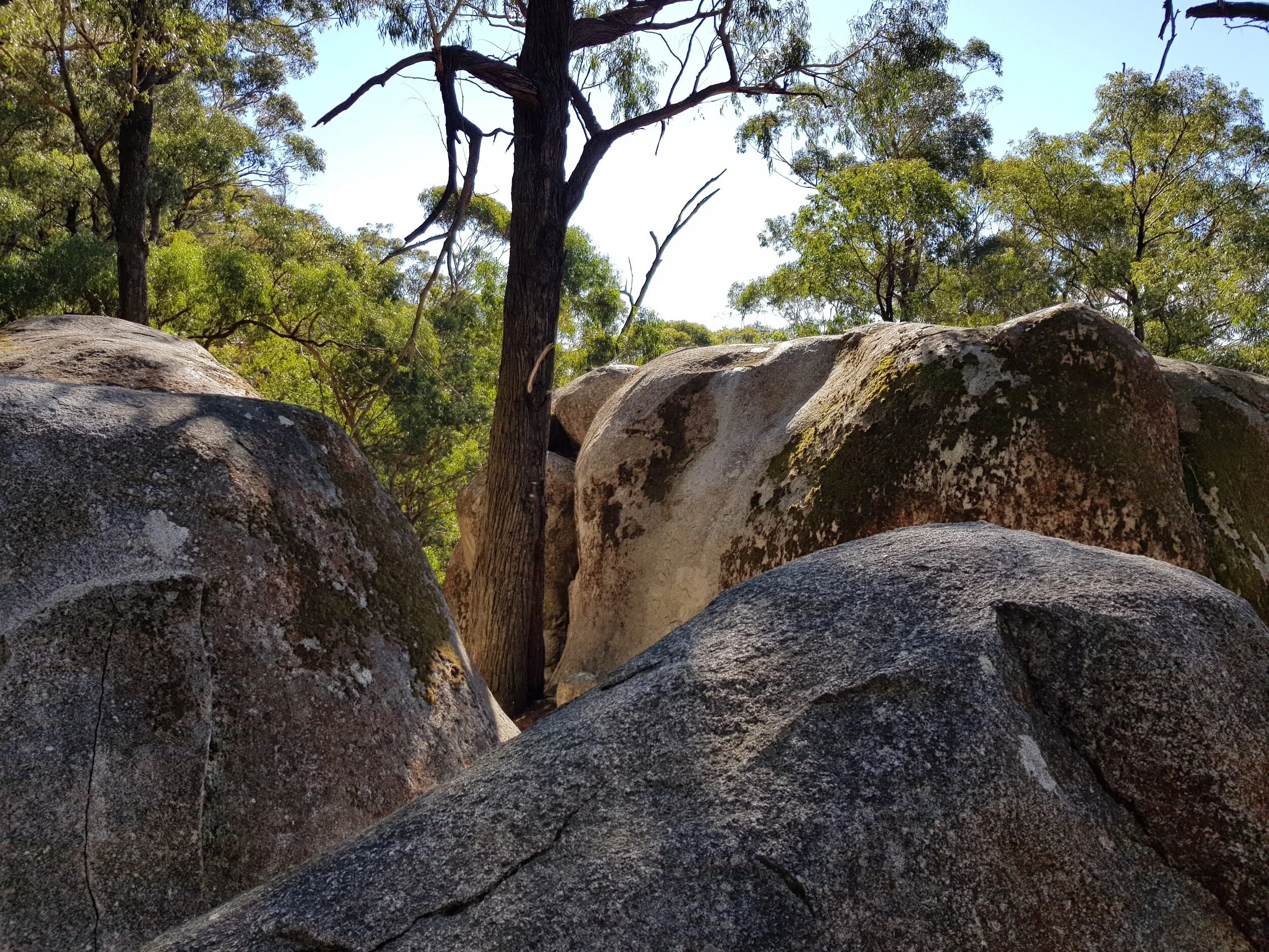 processed_20180805_125928 (1).jpg