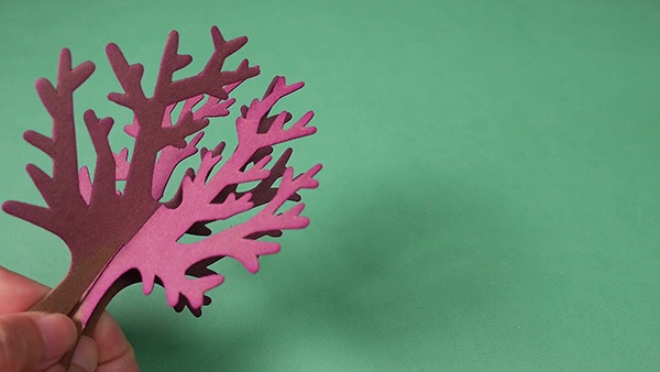 542708FE-A1FC-4128-BA89-75AC0DF974F0.jpeg