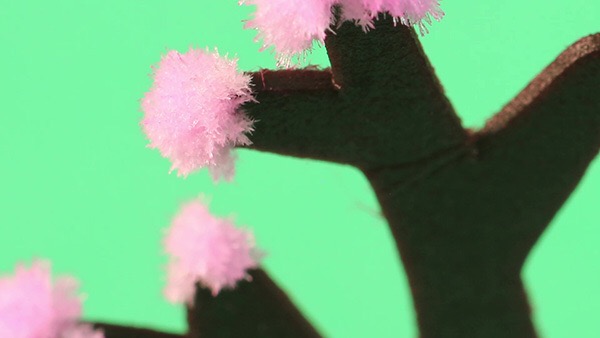 5F38C570-A369-4544-BF99-9D410DB84FC2.jpeg