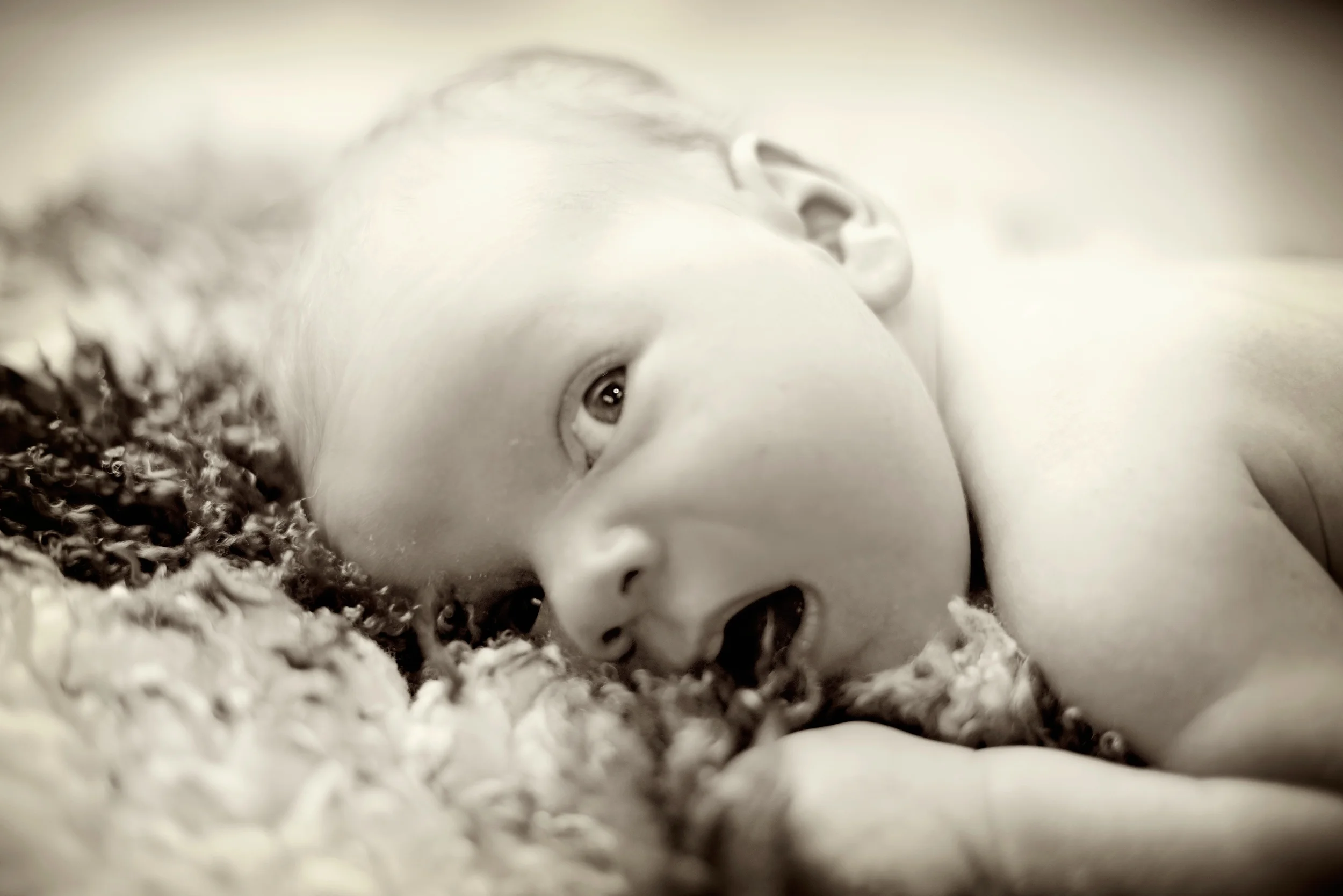 This image shows tiny hands as they grip a rug during a New Born Photography Session. Image Taken by Warnock Imagery