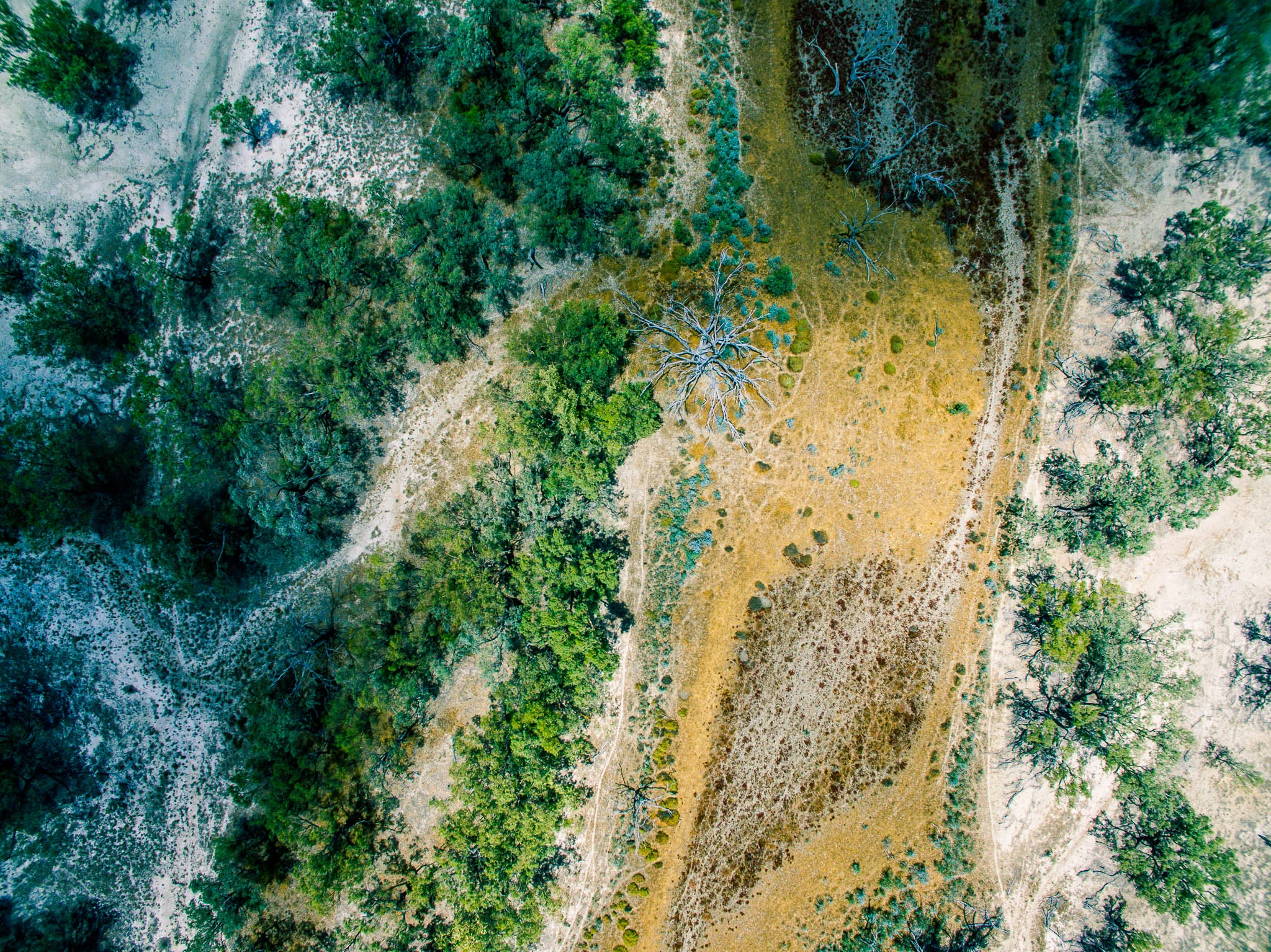 DJI_0583-2.jpg