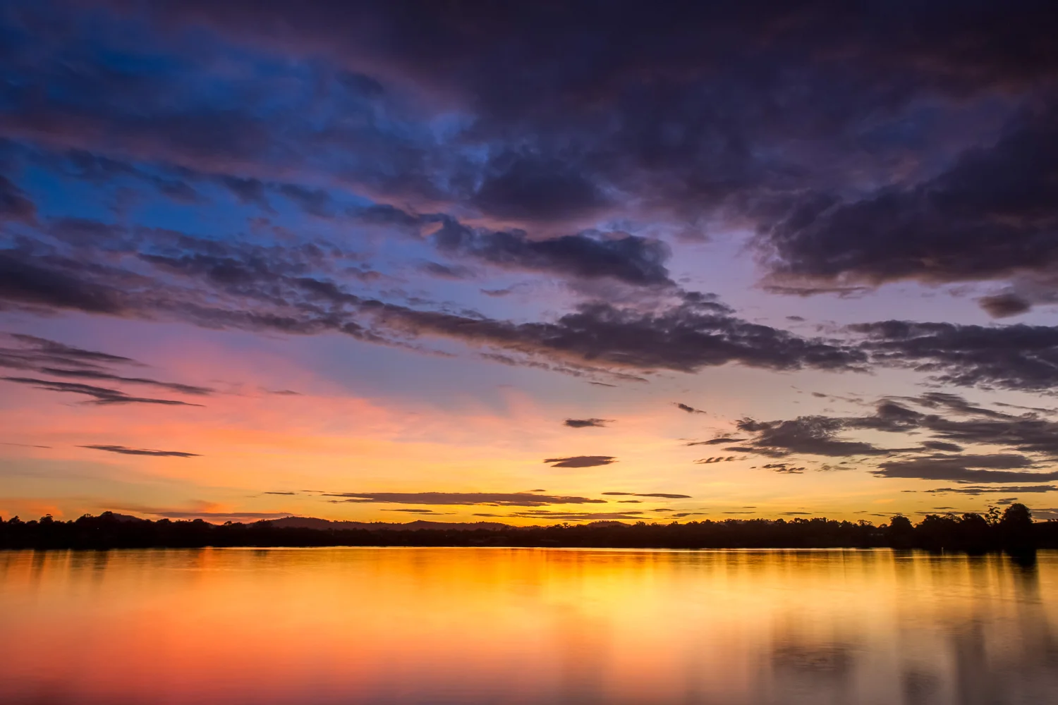 IMG_9958-Edit.jpg