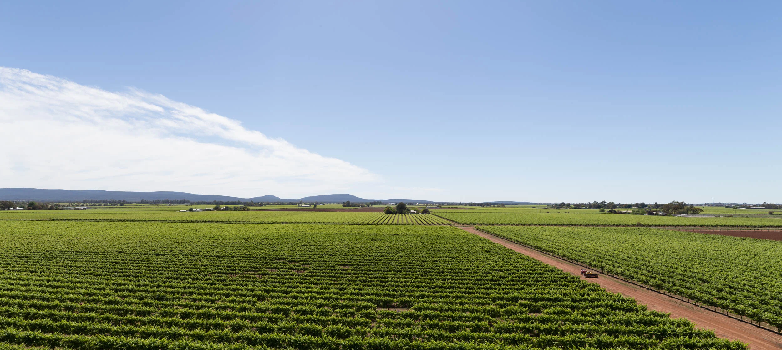 _IMG_9955-Pano_DIGITAL.jpg