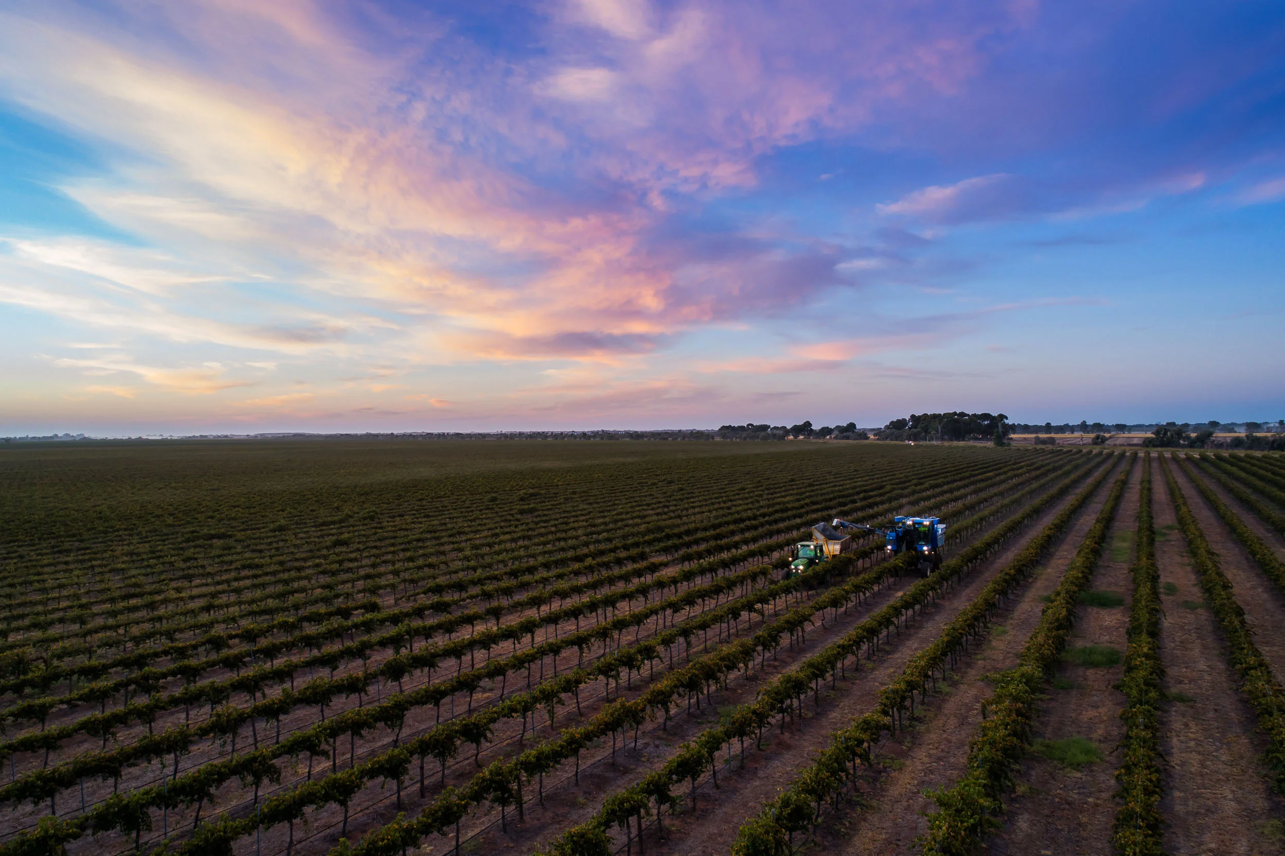 DJI_0307-HDR.jpg