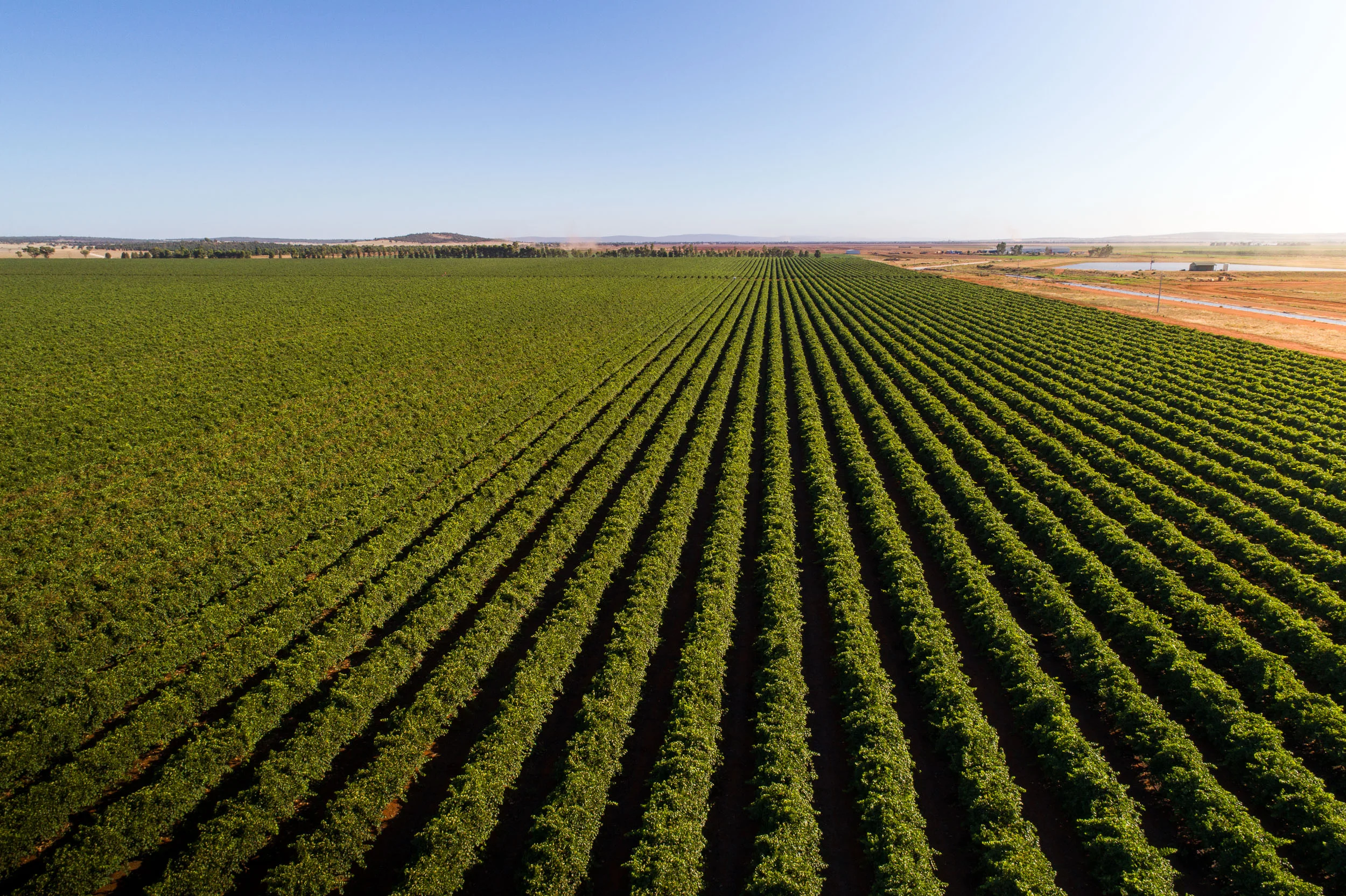 DJI_0230.jpg