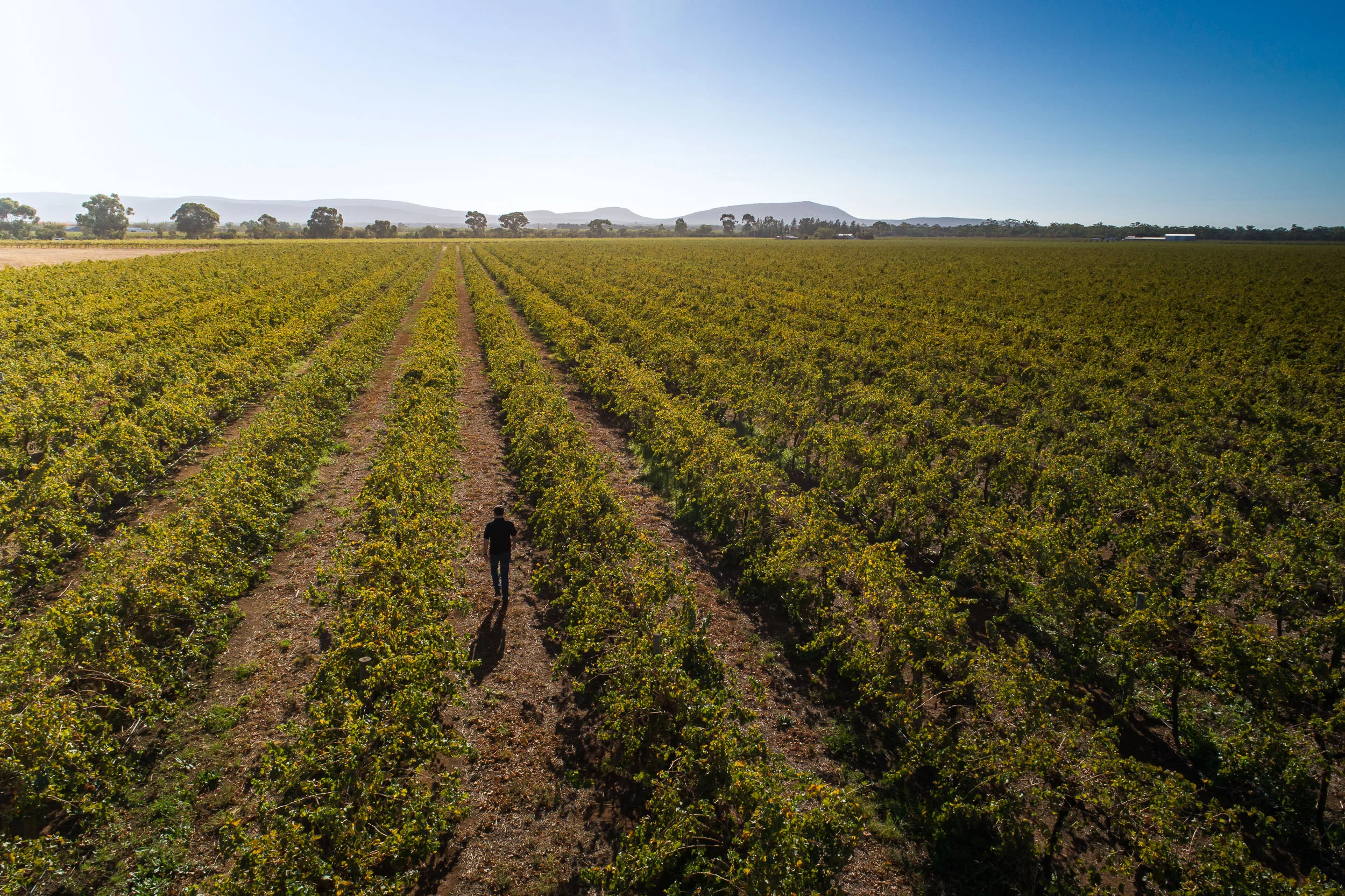 DJI_0104.jpg