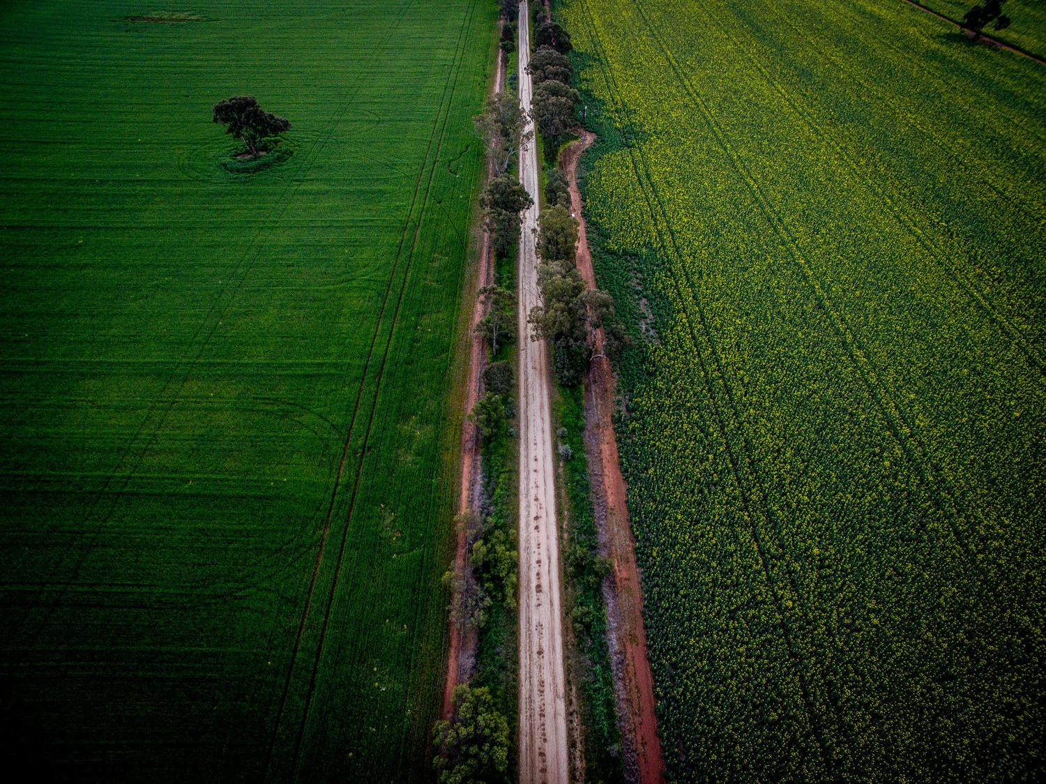 DJI_0052.jpg