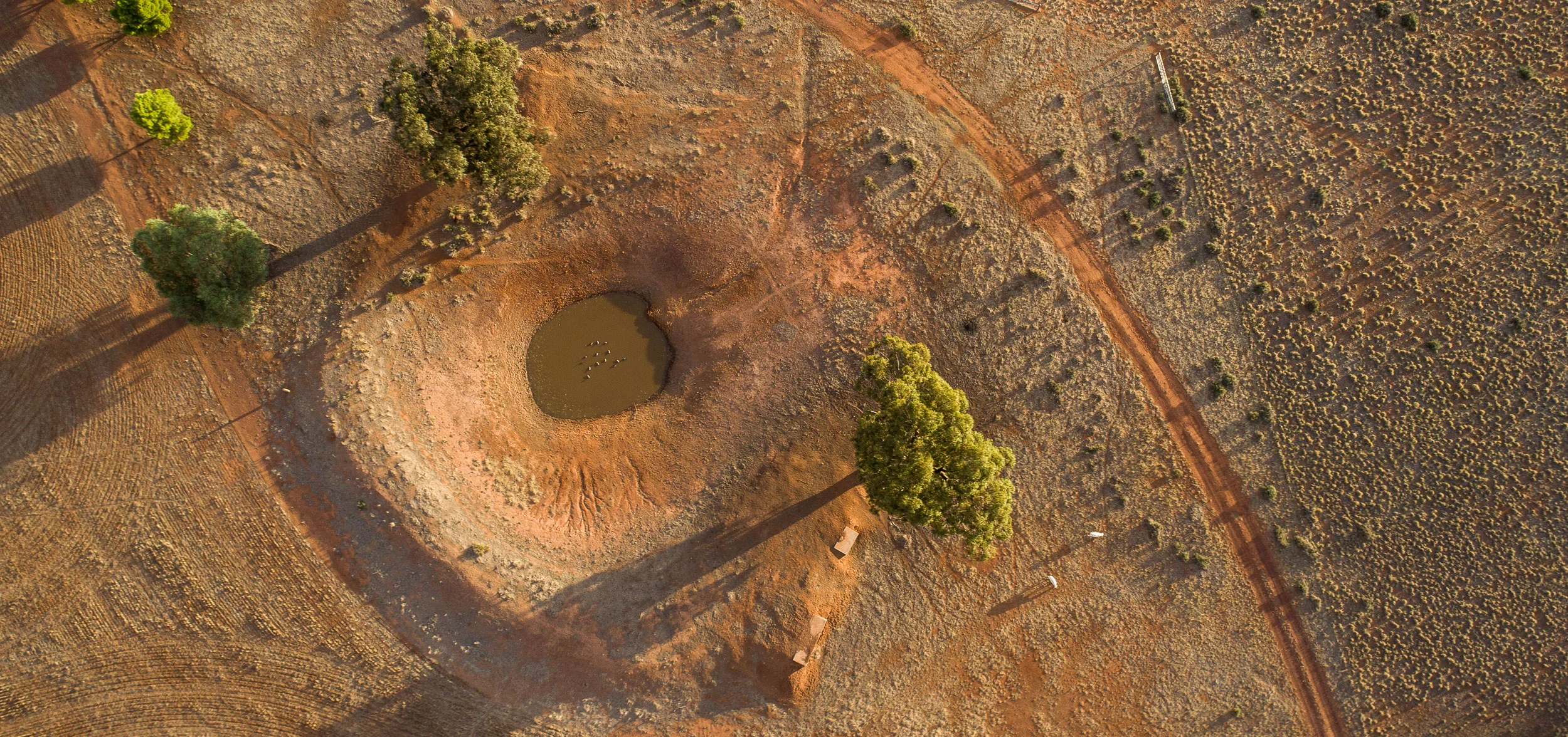 DJI_0110.jpg