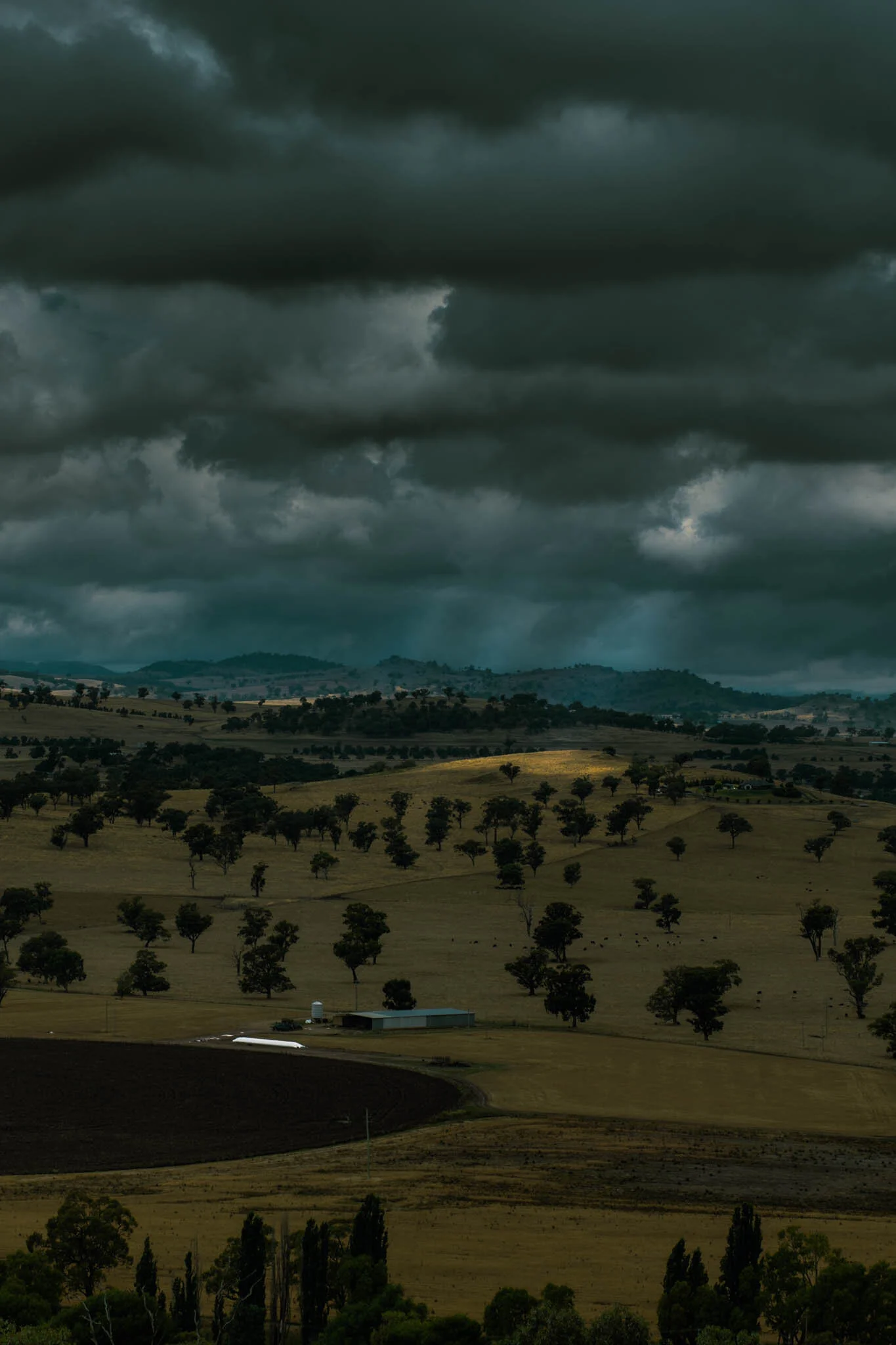 IMG_2050enfused_Cowra.jpg
