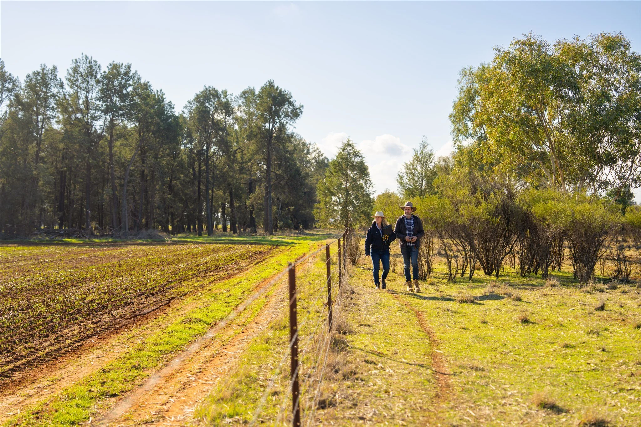 DCCEEW_CARBON-FARMING_MATTBEAVER_DSC00945_FINAL.jpg