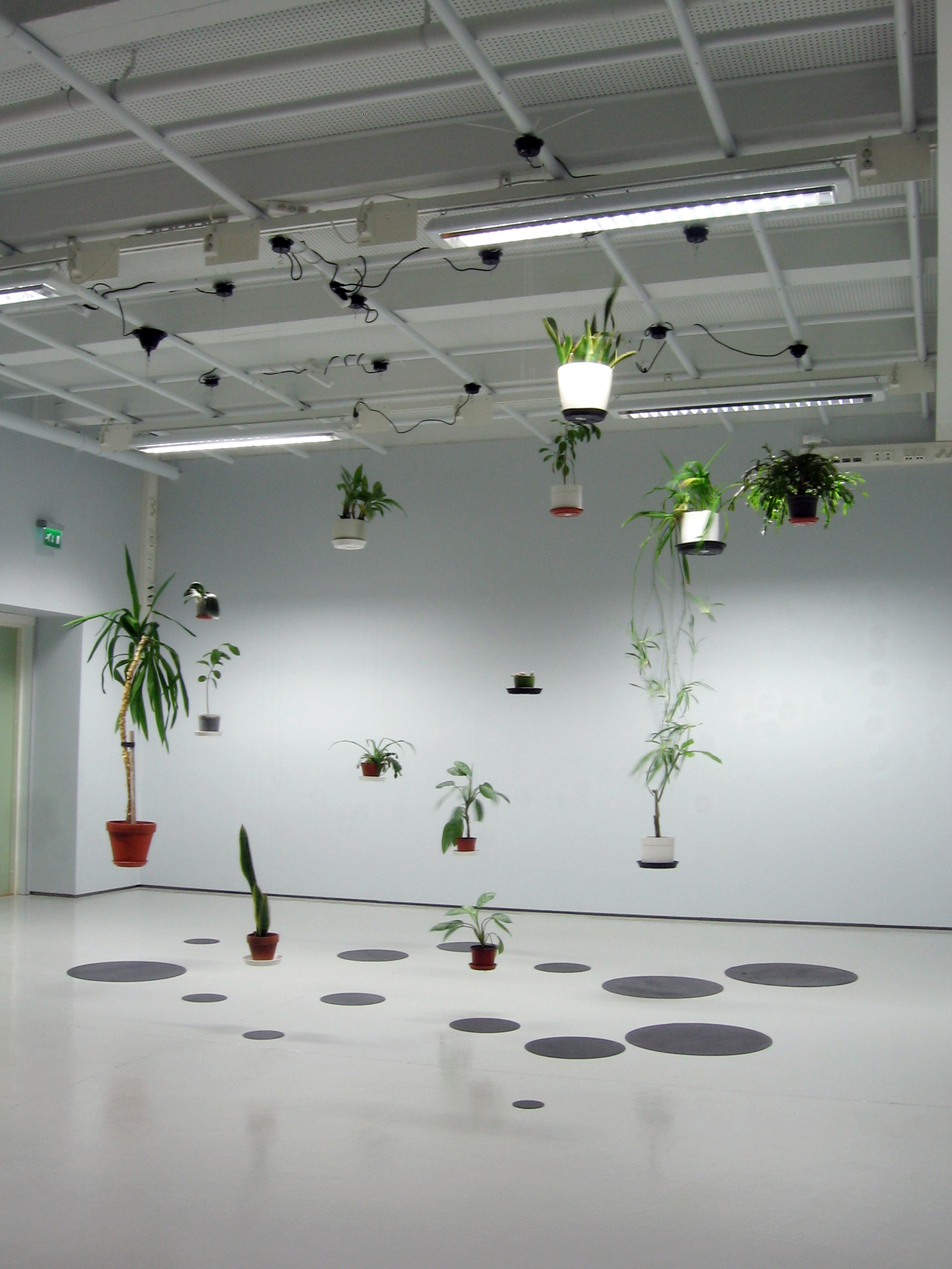 Field Trip for Houseplants, 2010