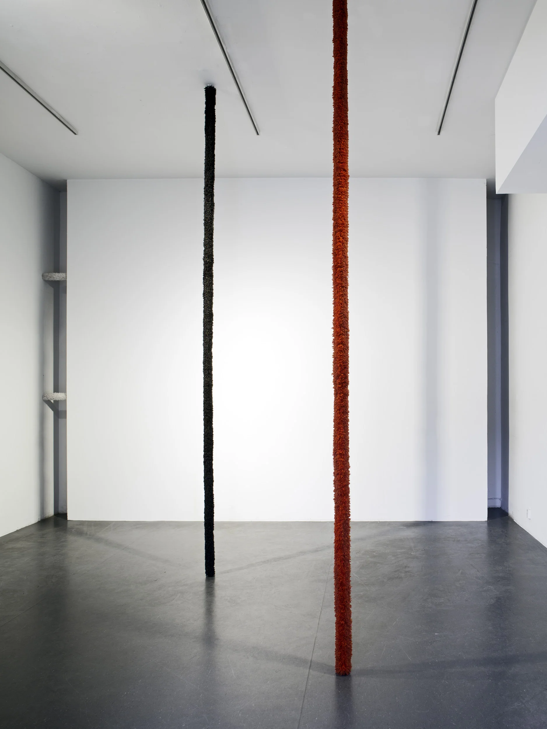 Red and Black, 2013