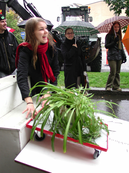 Dash of the Spider Plants, 2004