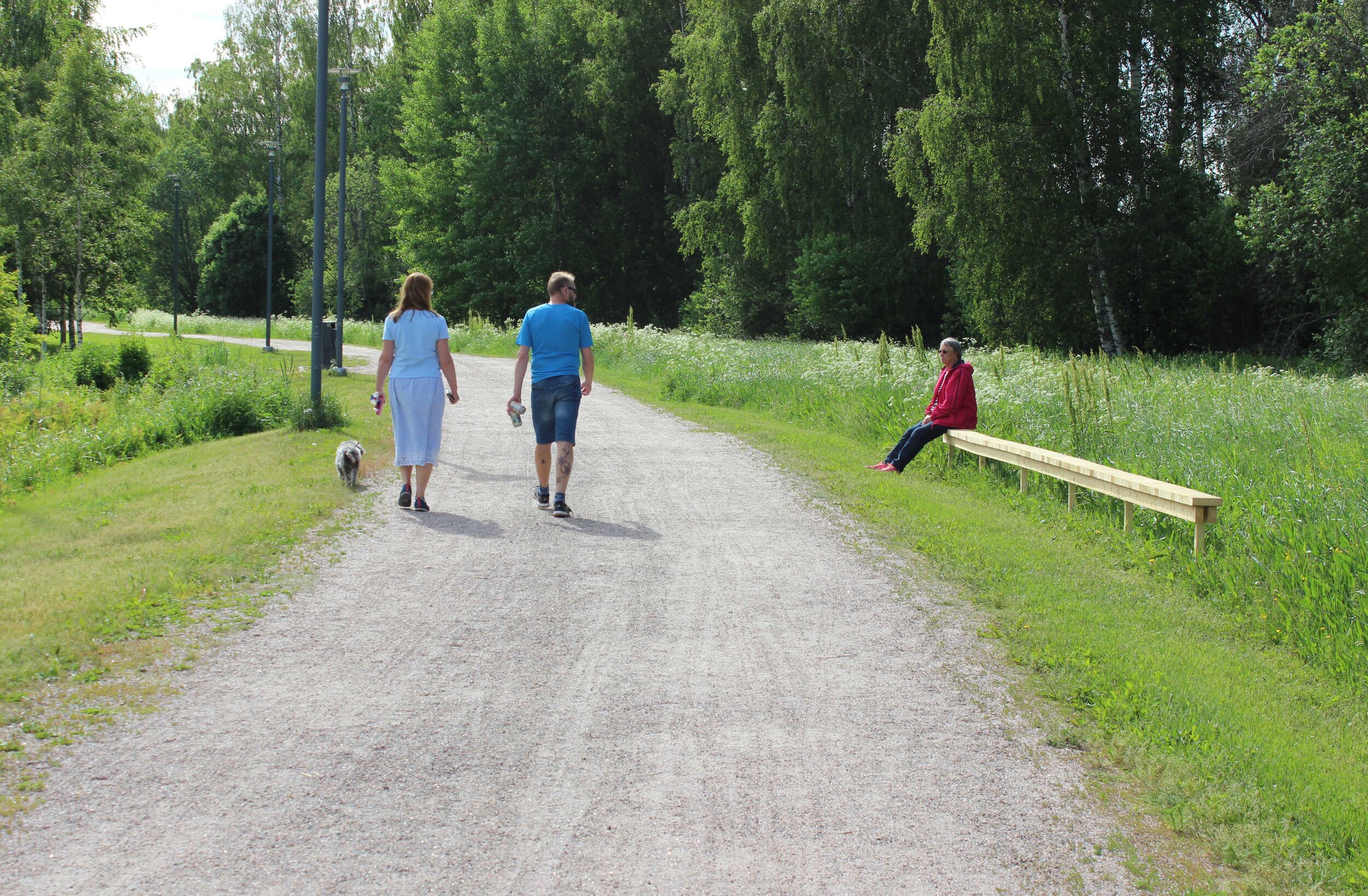 Walking Side by Side / Rinnakkain kävelijä