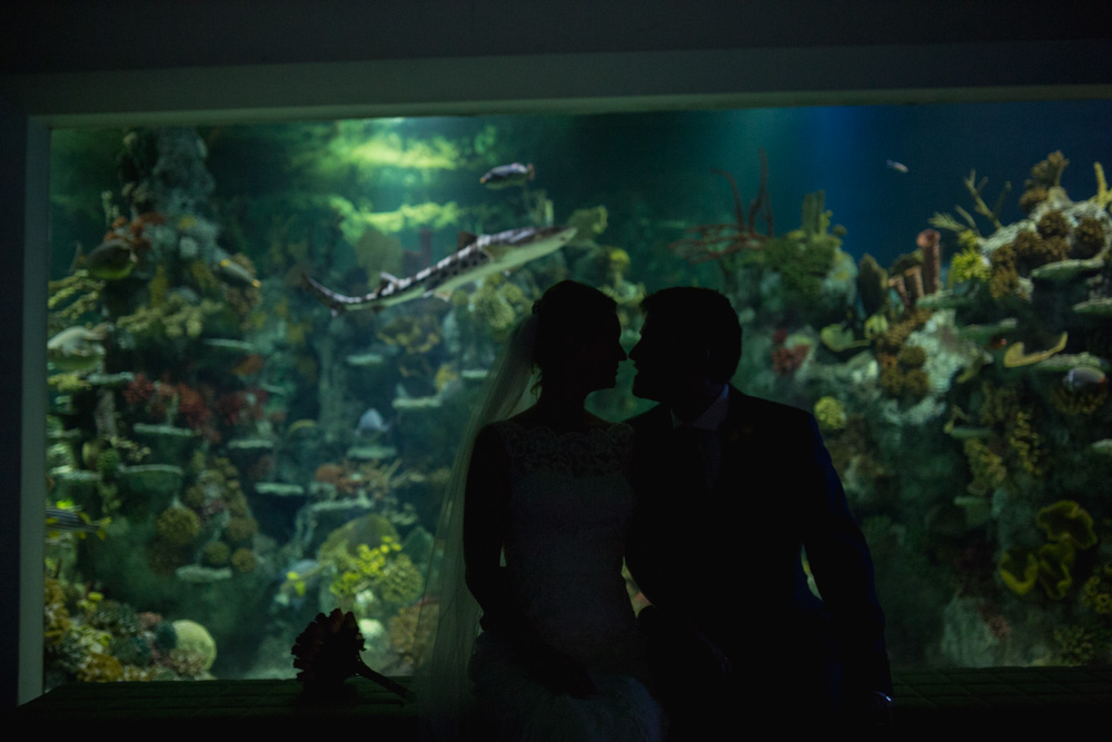 At-Bristol-Planetarium-Wedding-67.jpg
