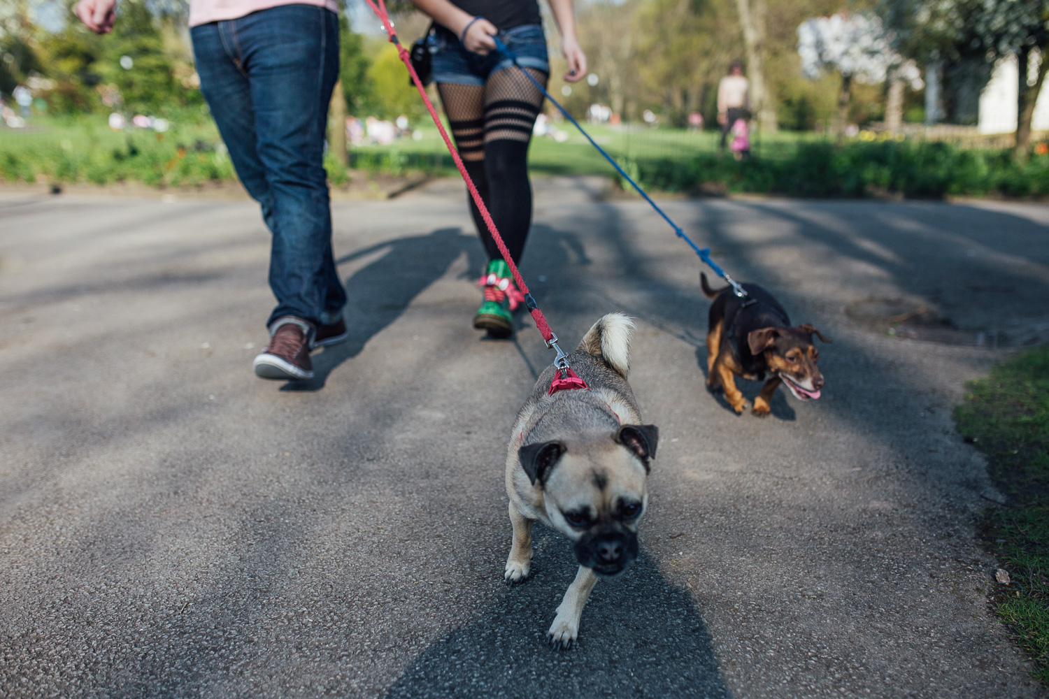 HarrogateEngagementShootinYorkshireWeddingPhotography-7.jpg