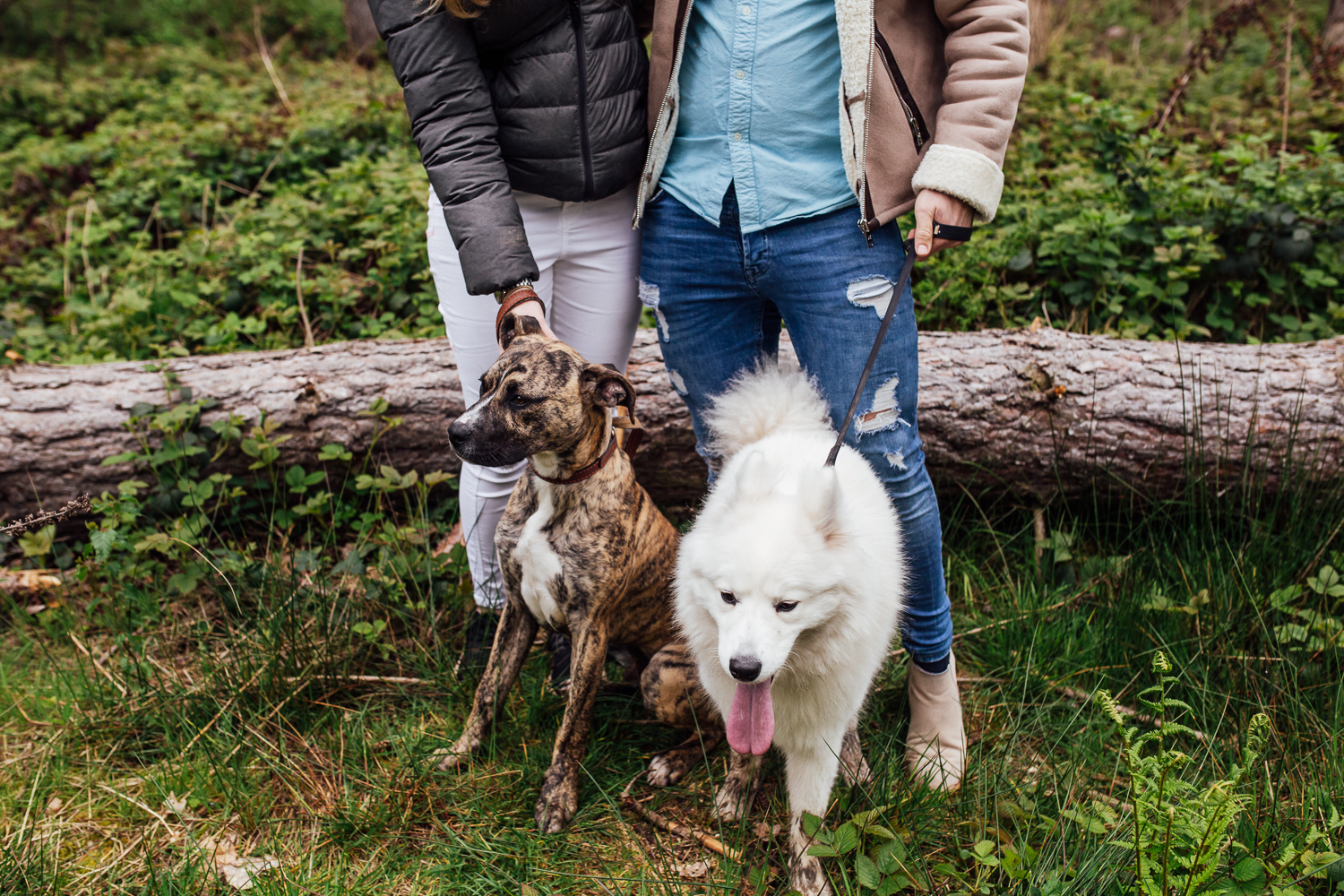 Haughmond Hill Engagement Shoot-2.jpg