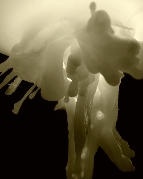 L1000551_1.jpg