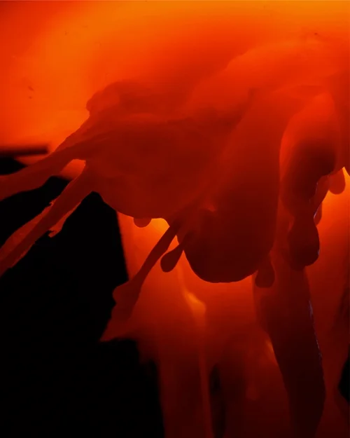 Kahraman_Growoldseriesimage_copy.jpg