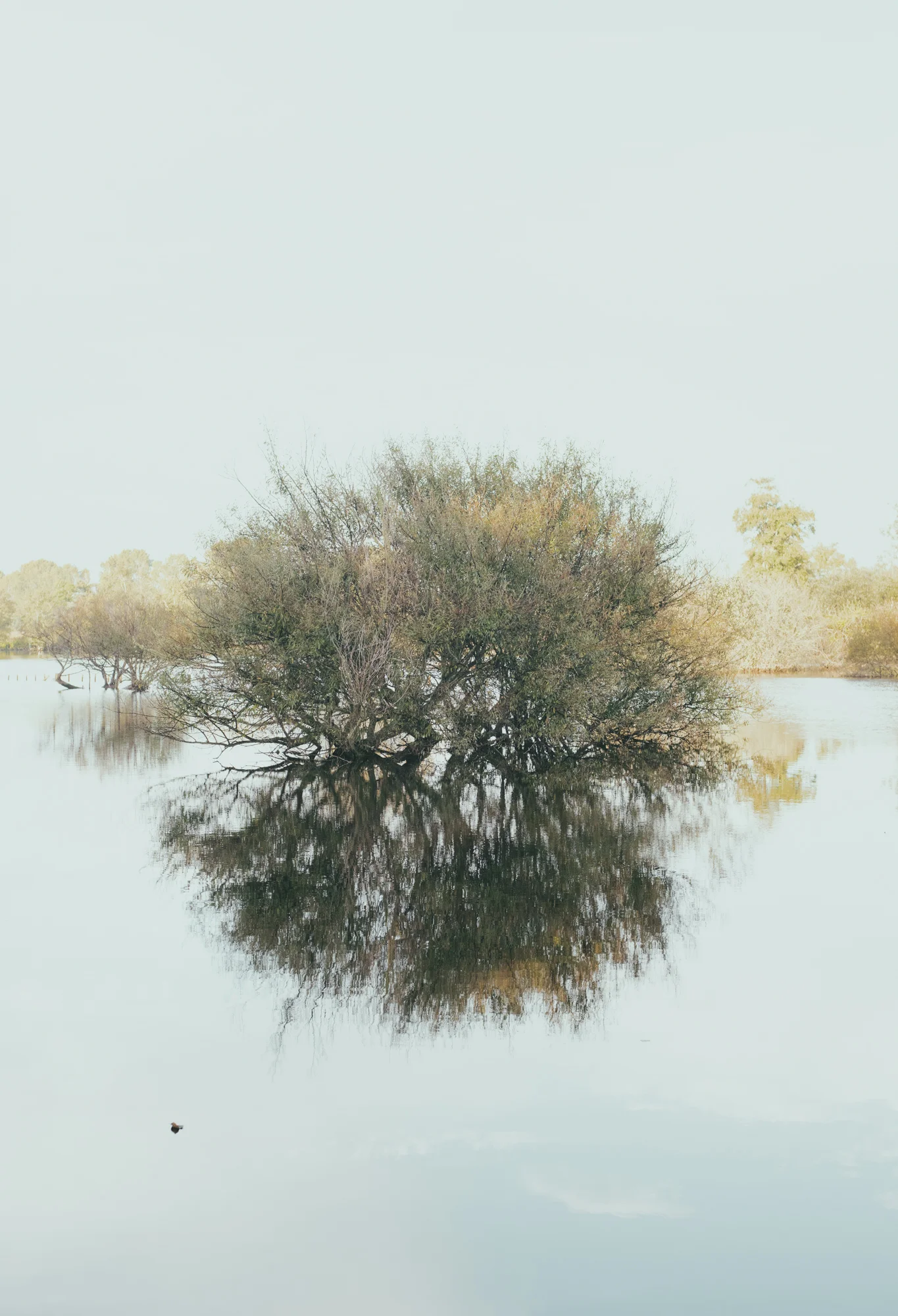 Photo1.jpg
