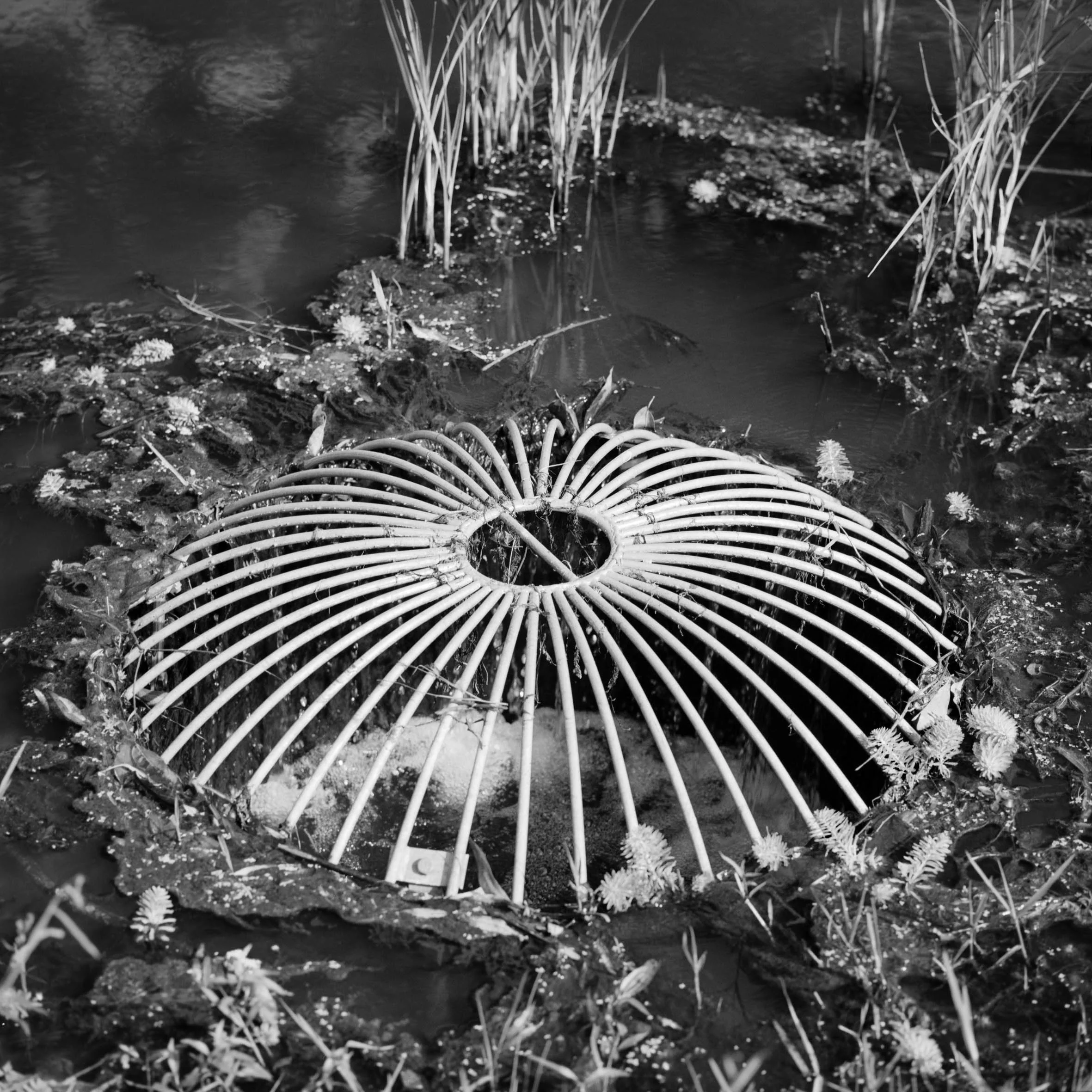 Stormwater Reserve II 2016, C-Type print, edition of 5 + 1 AP, 280mm x 280mm