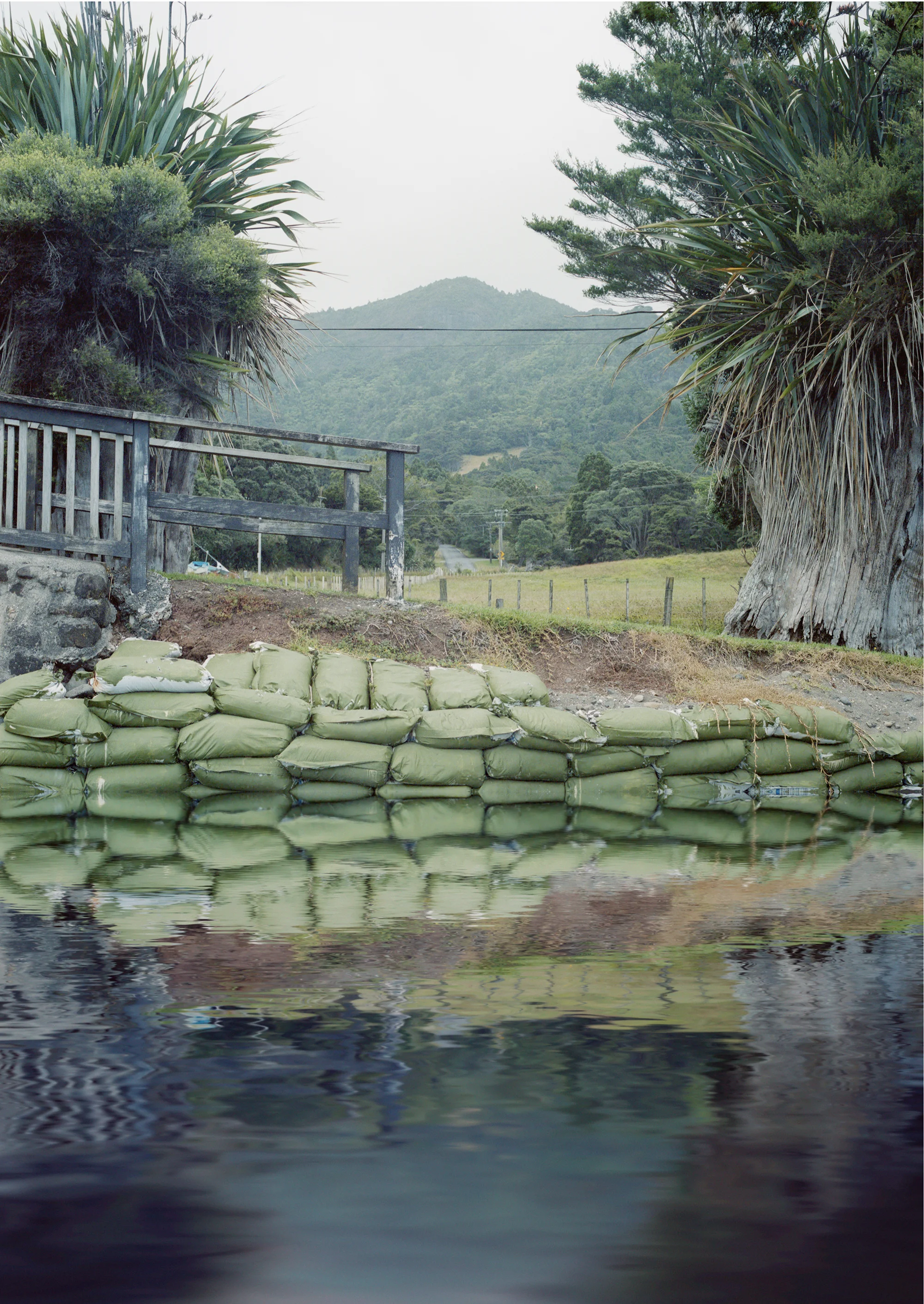 Huia, February. Archival Pigment Print on matte photo rag 2015 978mm x 1378mm