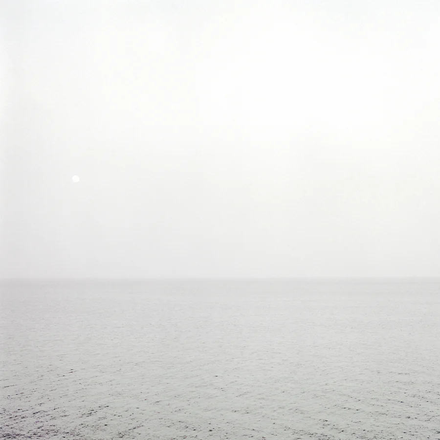 There Will Be New Life (But Not In This Sea) Archival Pigment Print on matte photo rag 655mm x 655mm Edition of 5 280mm x 280mm Edition of 20