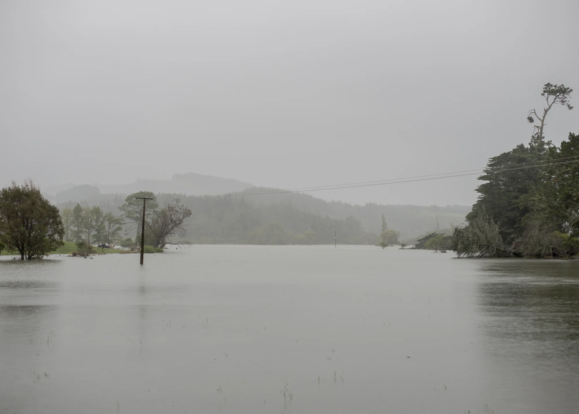 paddocks that look like rivers.jpg