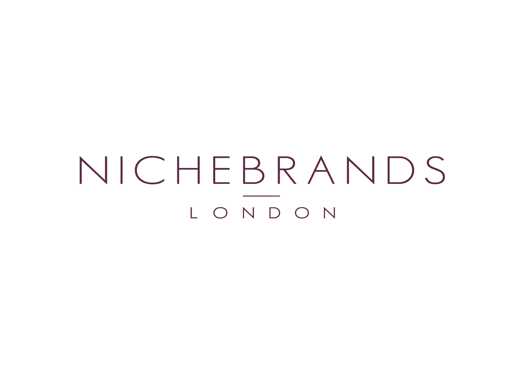 NicheBrandsThicker.png