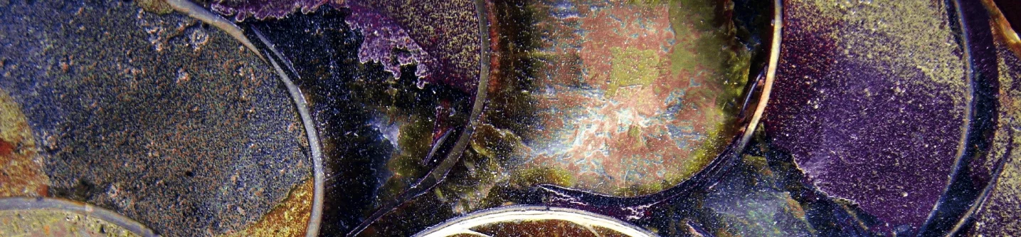 MP-cover-fossil-gold.jpg