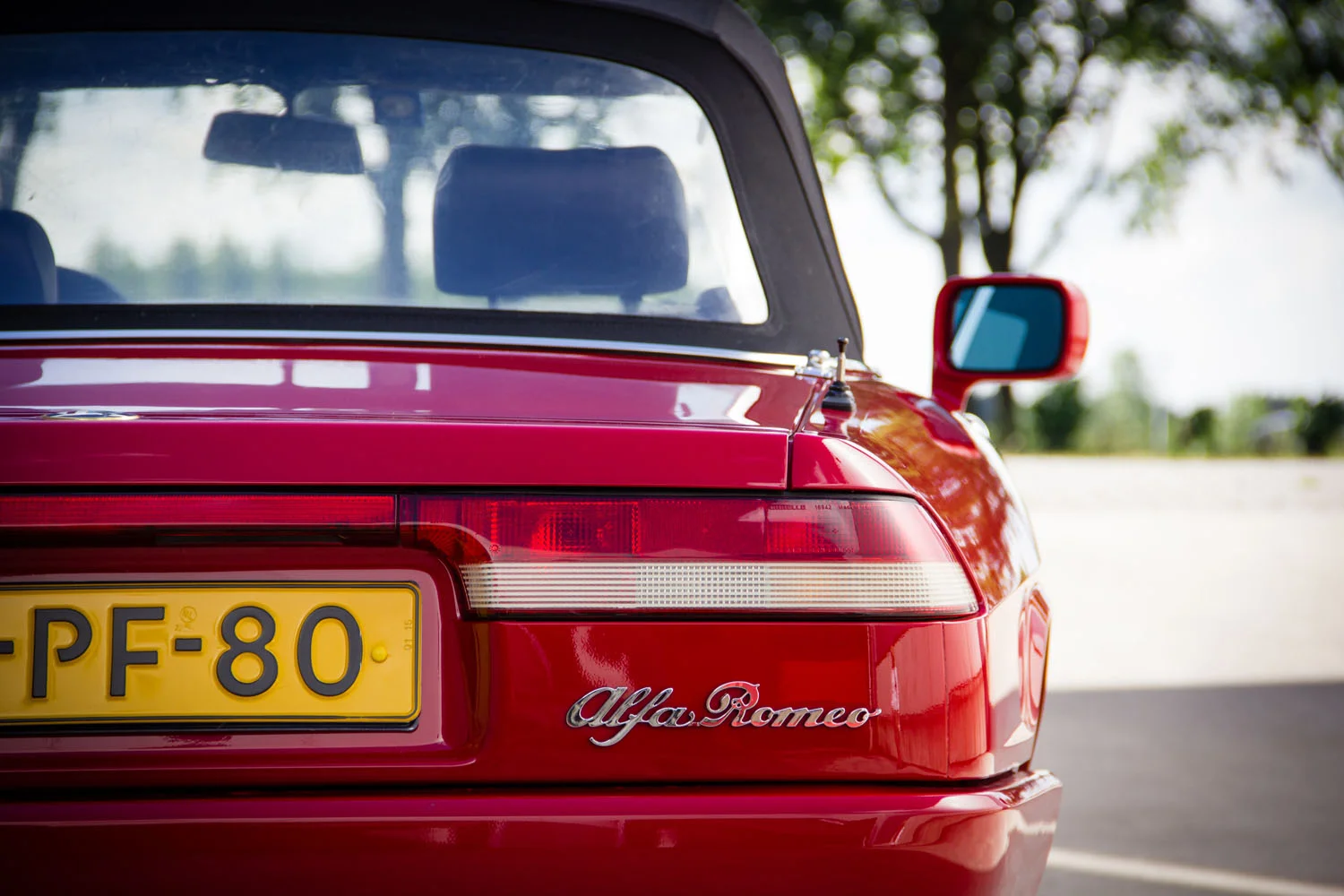 AR-Spider-Type4-1992-6008.jpg