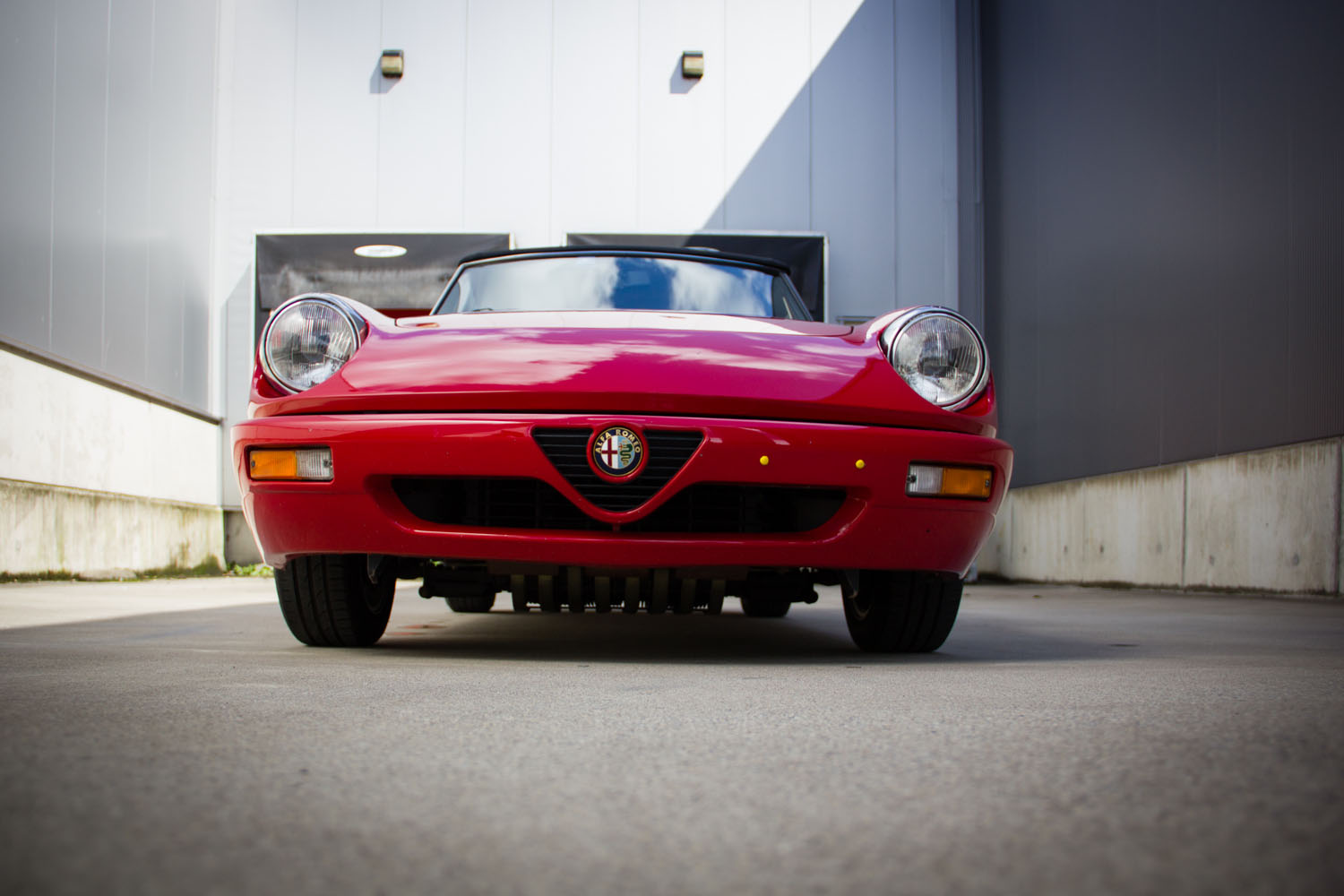 AR-Spider-Type4-1992-6015.jpg