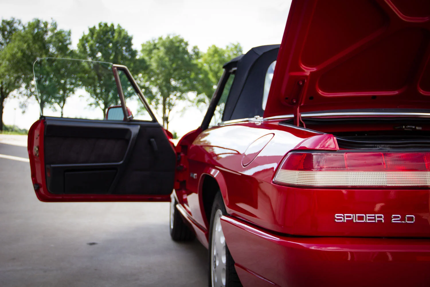 AR-Spider-Type4-1992-6041.jpg