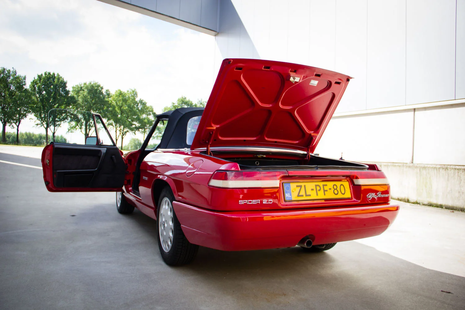 AR-Spider-Type4-1992-6043.jpg