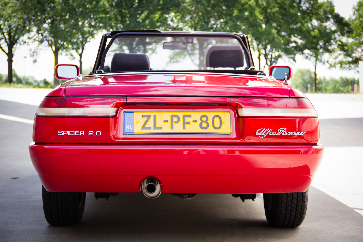 AR-Spider-Type4-1992-6053.jpg