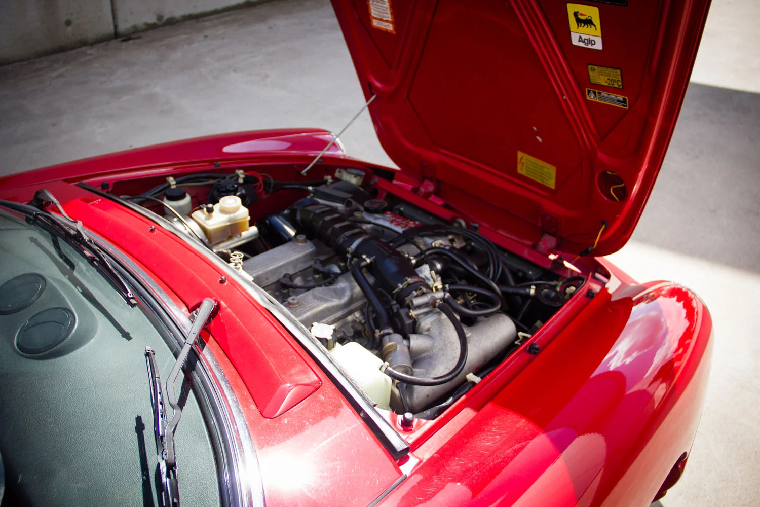 AR-Spider-Type4-1992-6067.jpg