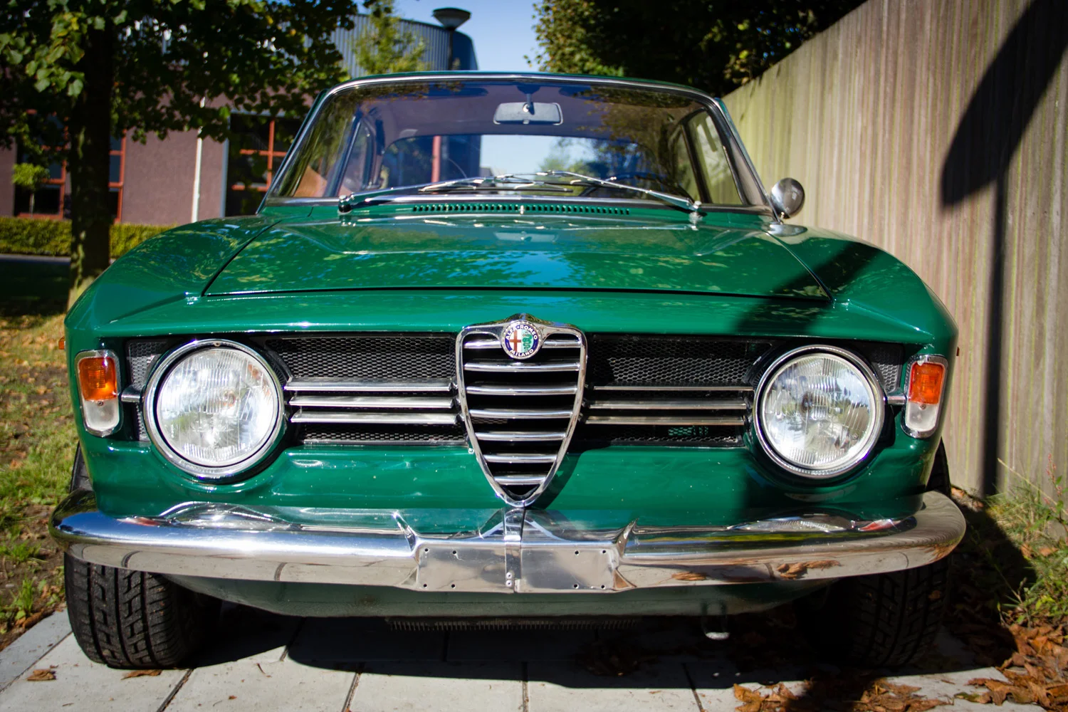 AlfaGTjunior1300-12.jpg