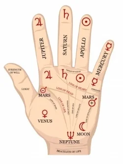 palm.hand.jpg