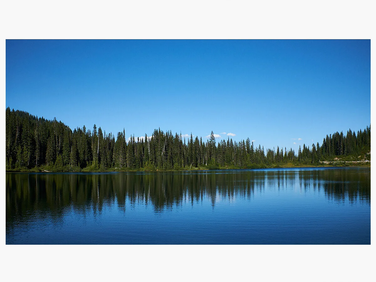 Untitled-7.jpg