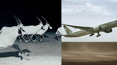 1 Etihad.jpg