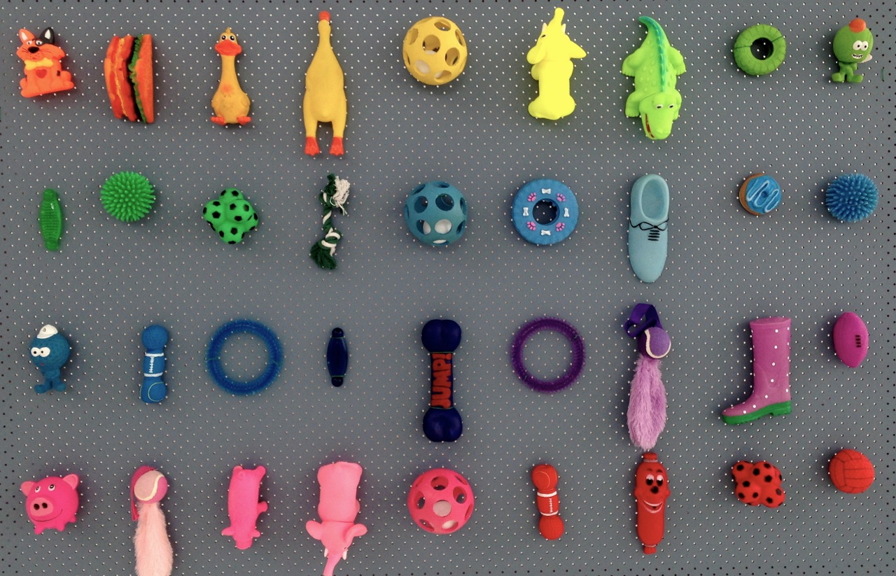 Dog props