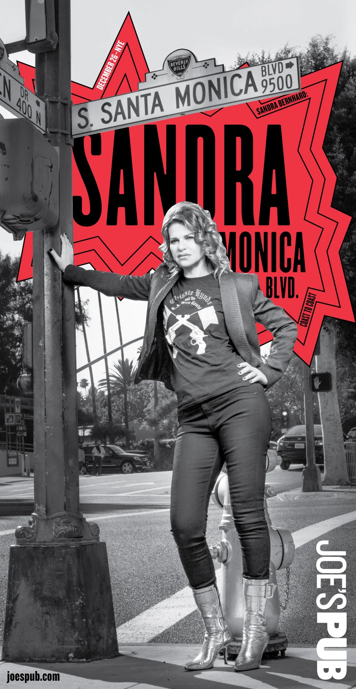JP_FOH_SANDRA-BERNHARD.jpg