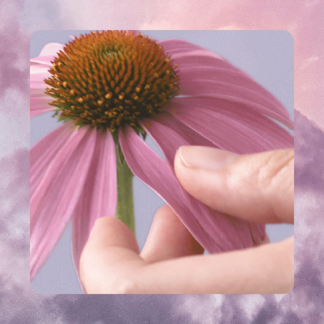collage 7.png