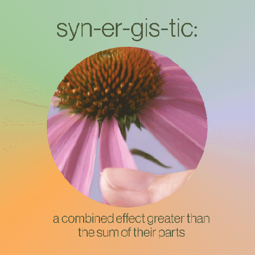 Synergistic square.gif