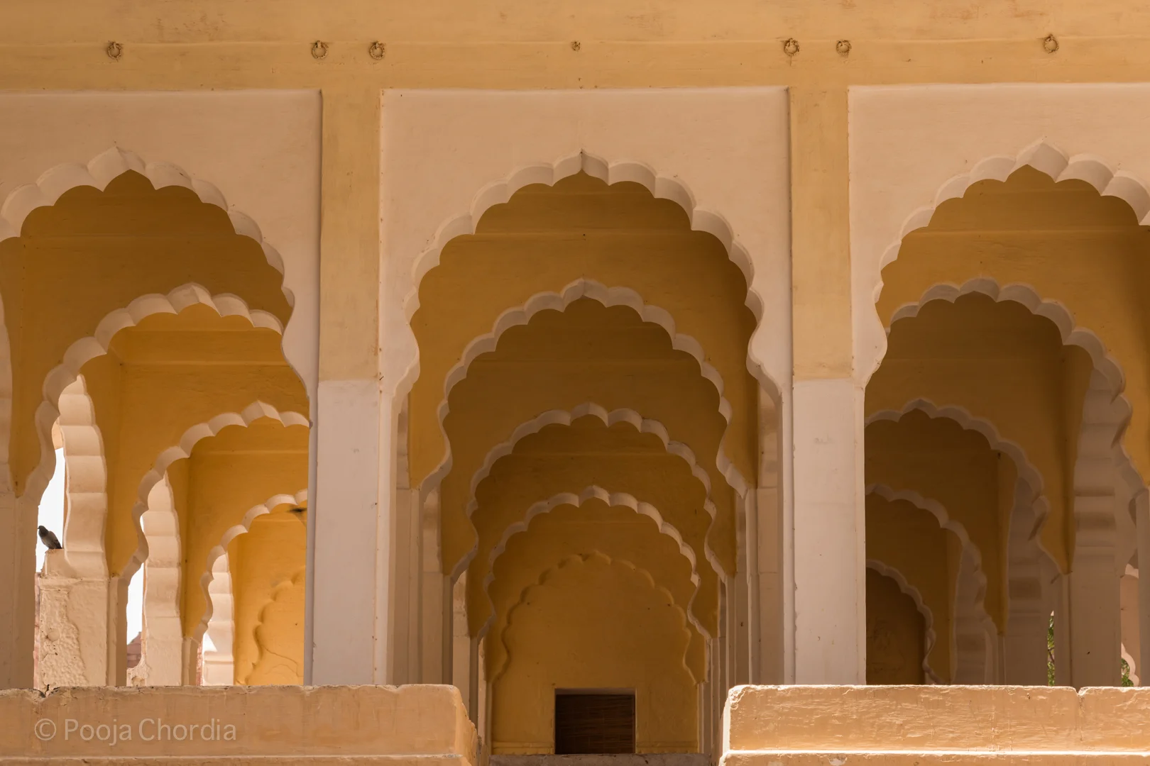 Mehrangarh Fort, Rajasthan