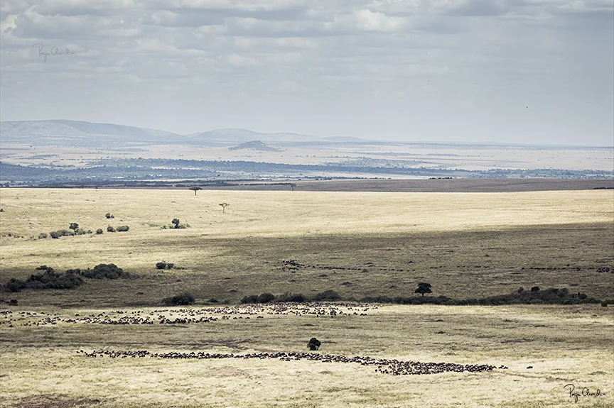 25 - An aerial view of Maasai Mara's stunning landscapes
