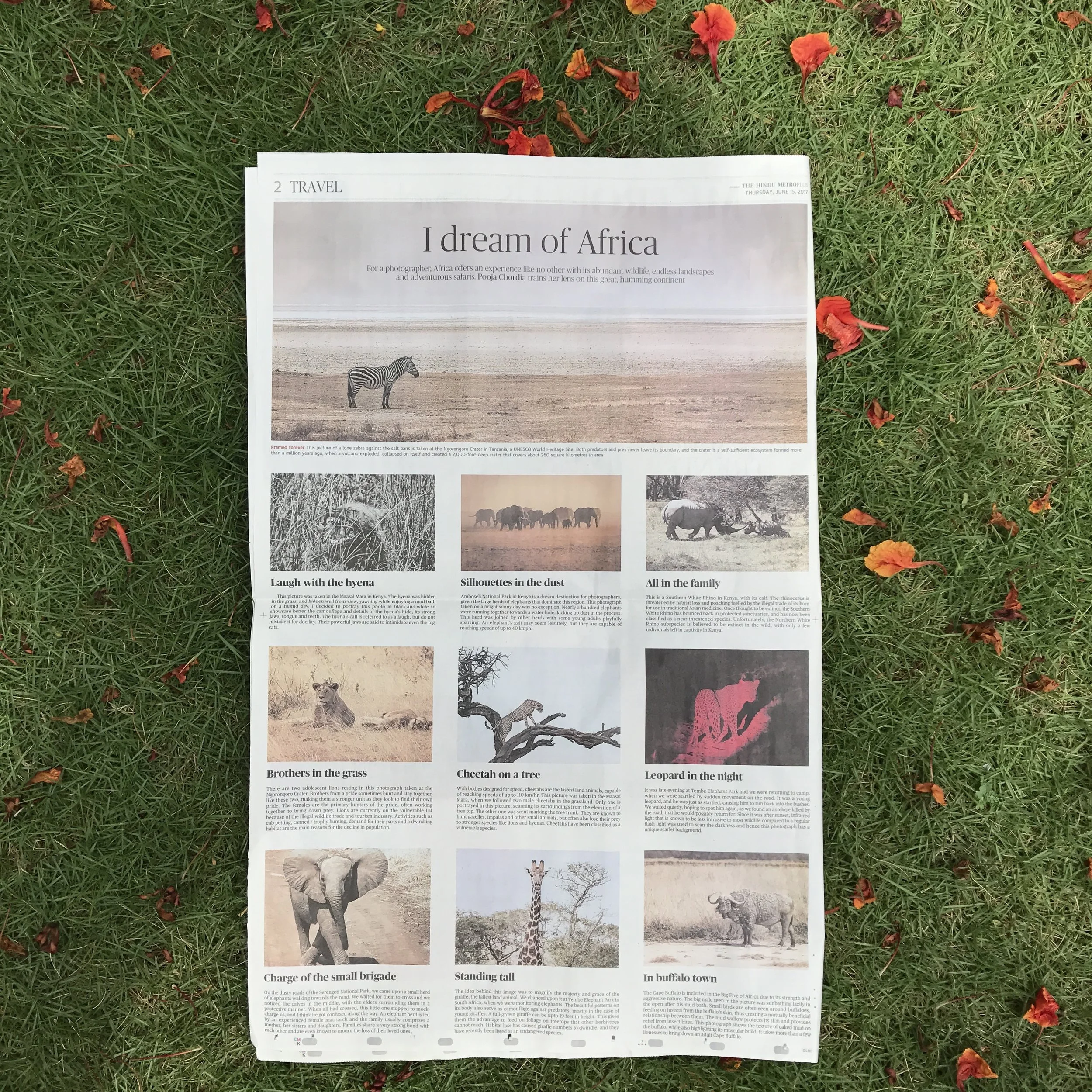 The Hindu Metro Plus